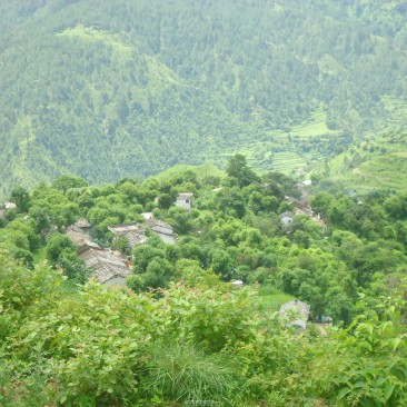 Manya Village