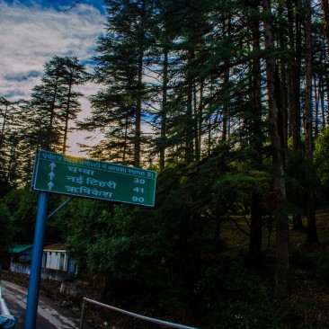 A Dhanaulti Morning