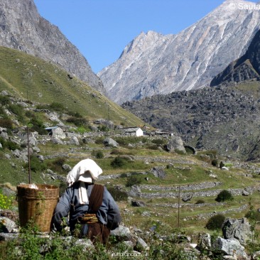 Livelihood in Himalaya